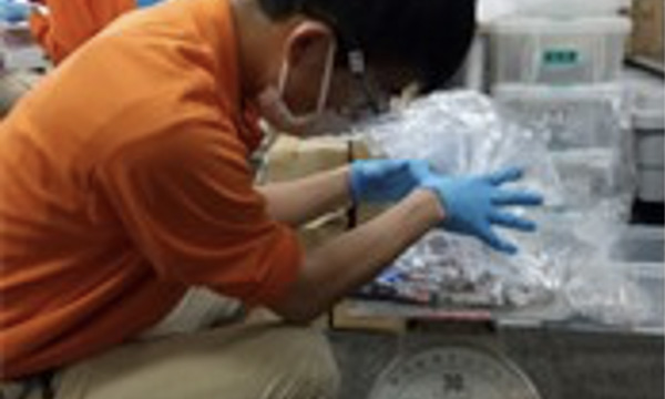 乾電池処理